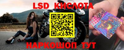 эйфоретик Заволжье