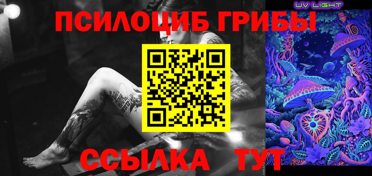 купить  сайты  Вход с VPN  Междуреченск  Псилоцибиновые грибы ЛСД 