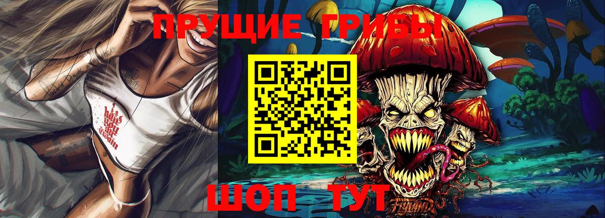 Псилоцибиновые грибы Psilocybe Междуреченск