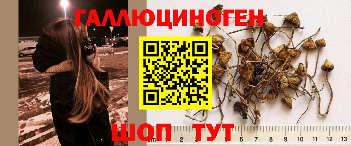  COCAIN Междуреченск